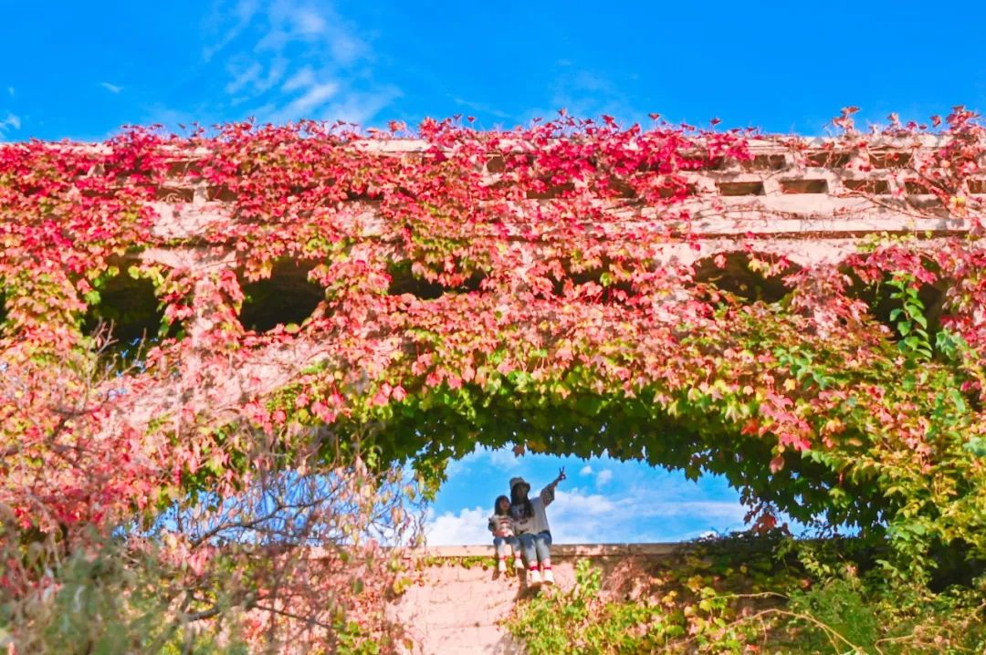 青岛市城阳区冬季旅游产品专区上线美团