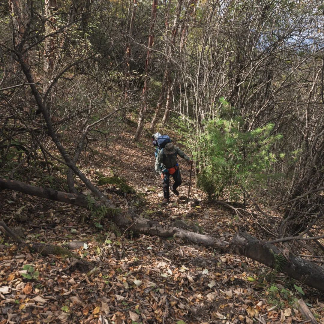 登太白山感受,太白山景区登顶拔仙台