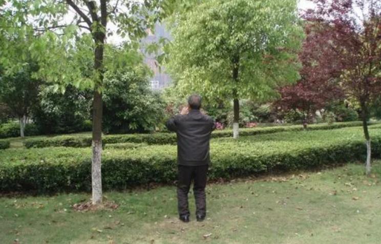 在马路上捡到彩票中奖了归谁 (捡到彩票中奖了该归谁)