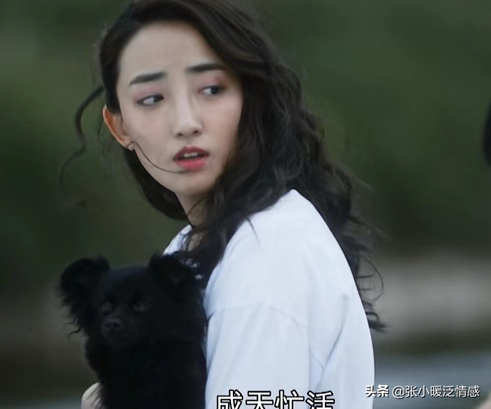 装台顺子和蔡素芬最后好了吗,装台菊跟顺子和好了吗