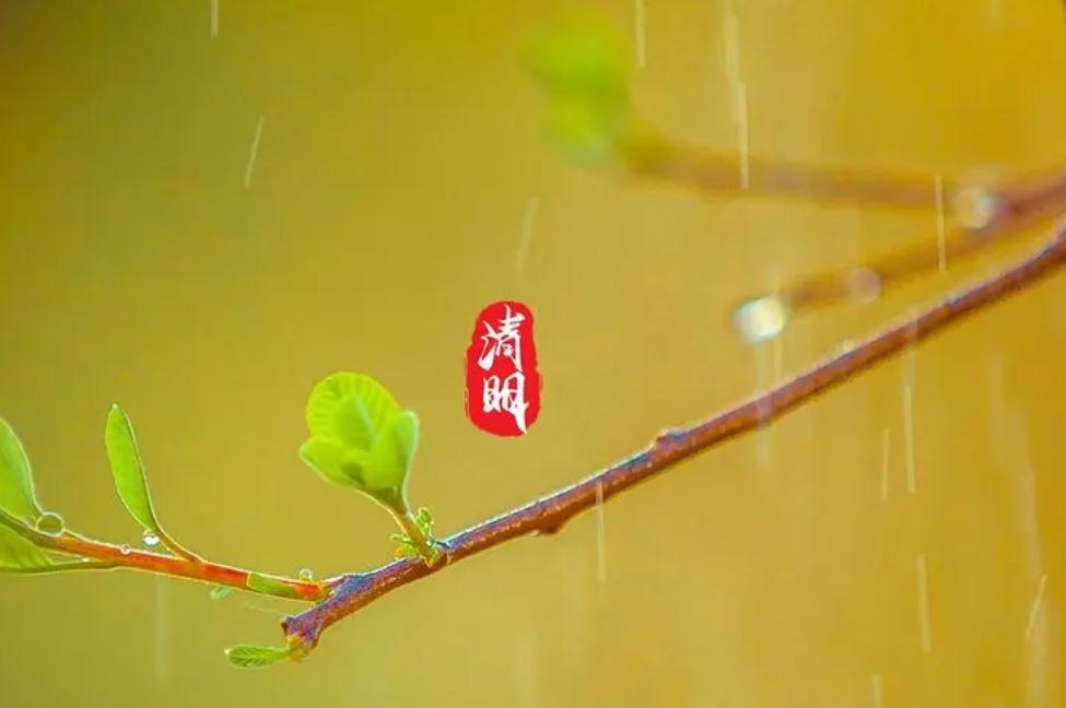 清明节是一个特别有趣的节日,清明节是一个富有特色的节日