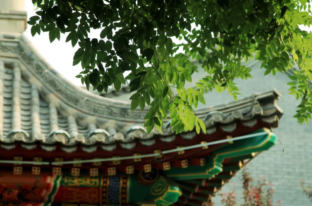 夏日的滦州古城“赛江南”