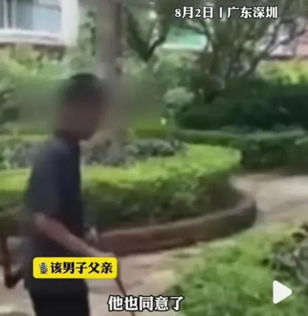 深圳弓箭射流浪猫警方介入,深圳男子用弓弩射杀流浪猫后续