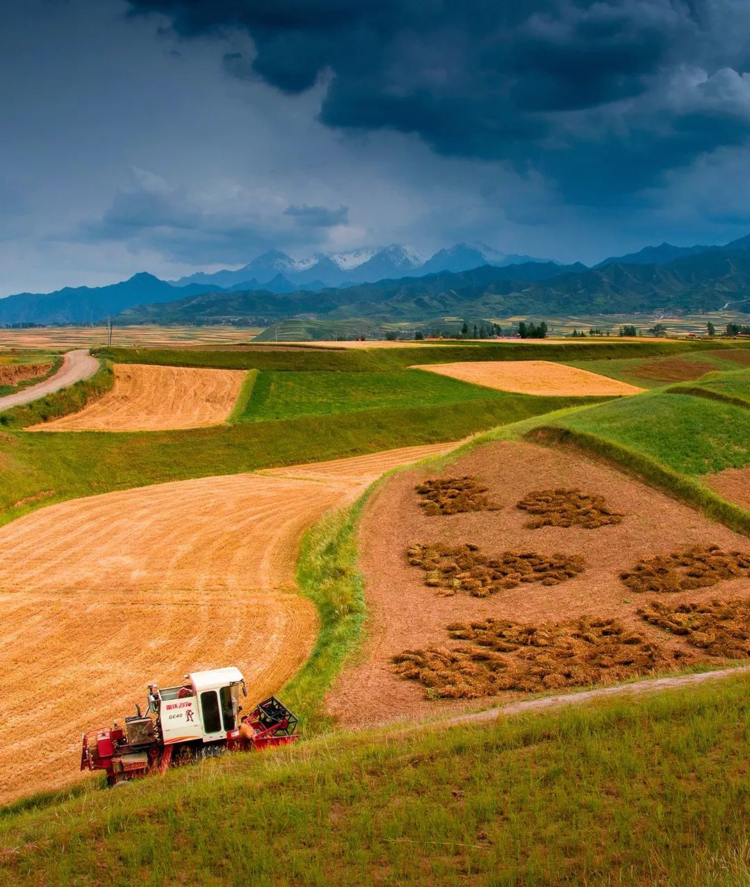 甘肃张掖有多少极致风光,甘肃张掖城市风光