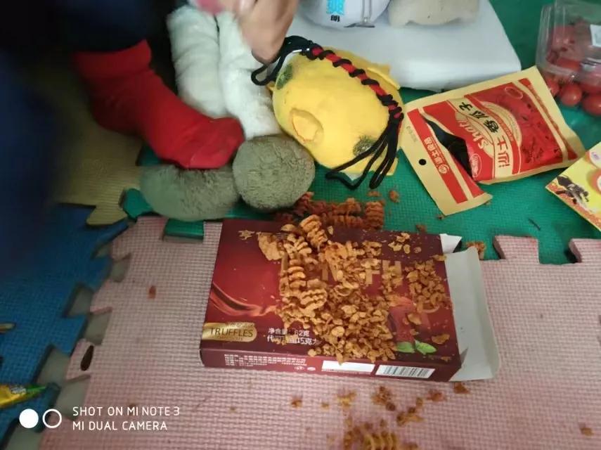 2024年迎新年活动方案,2023迎新年活动主题