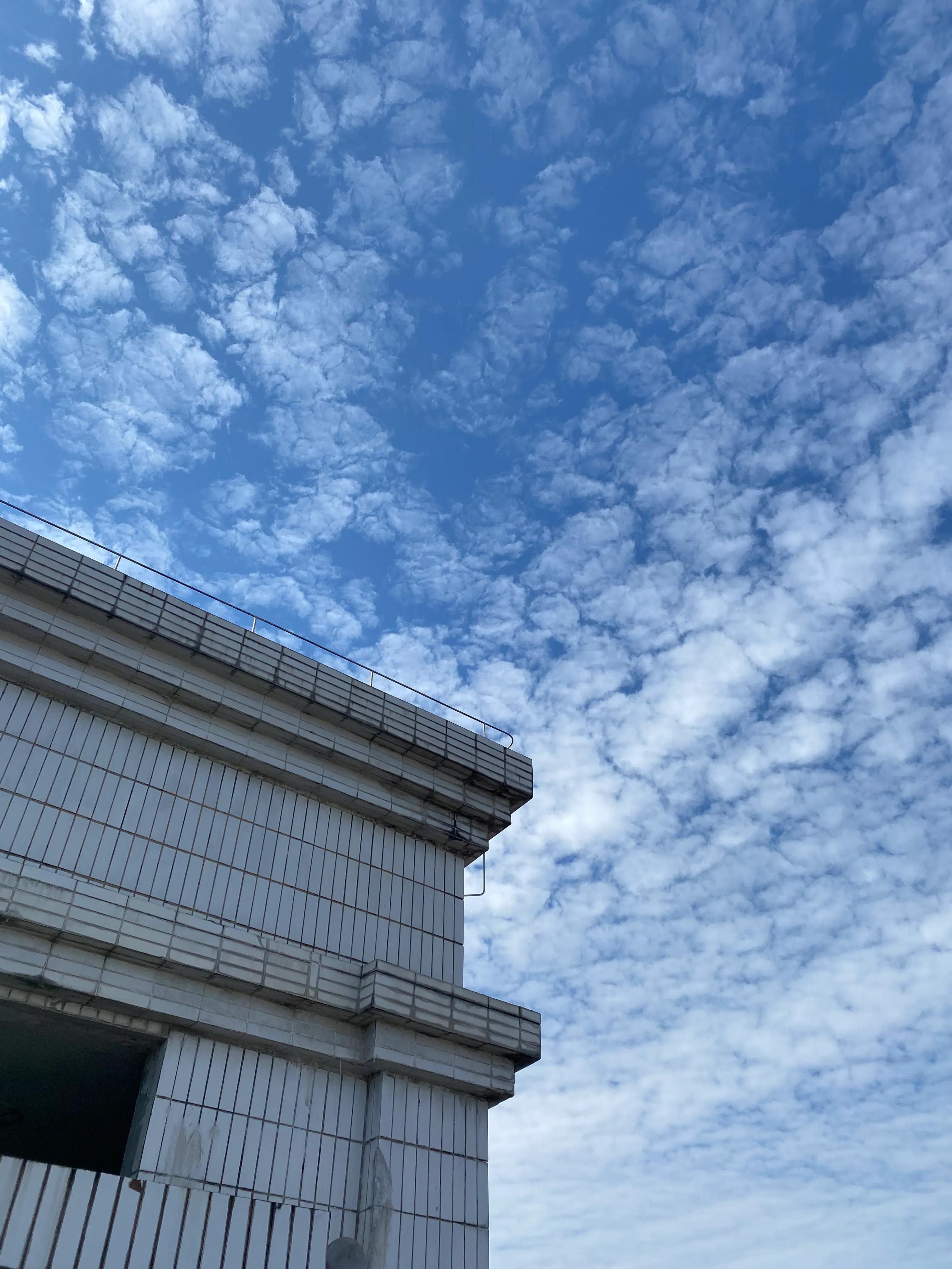 脑梗记忆力减退反应迟钝怎么恢复,脑梗记忆力