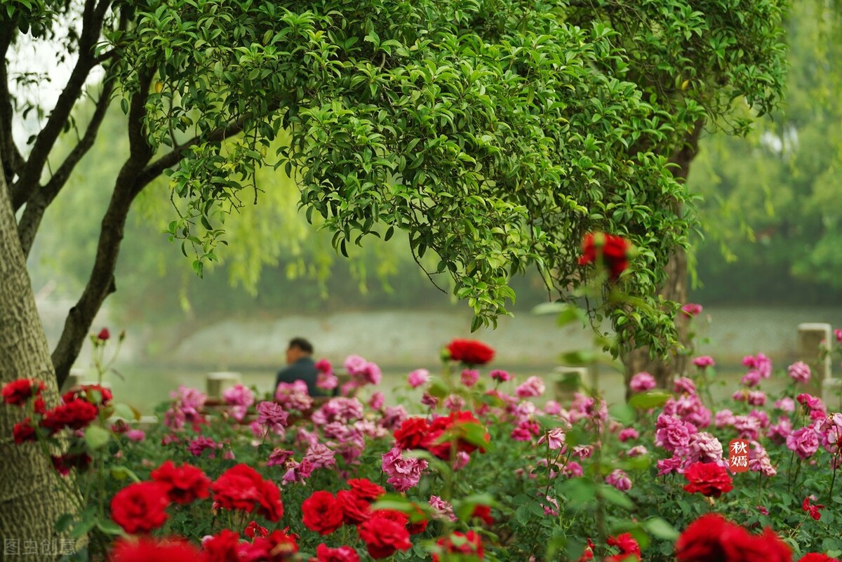 潮水声音还在轰鸣看着她远去的背影我想挽住她的胳臂说出心底爱恋