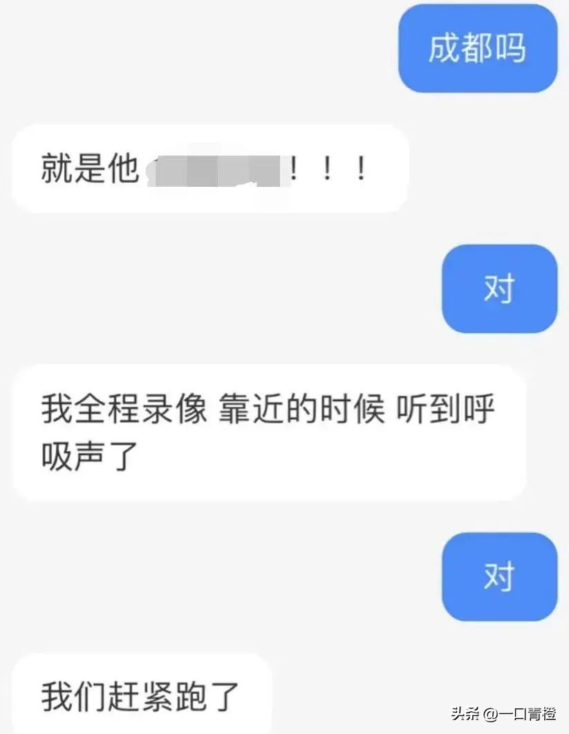 四川女子上门喂猫,女子兼职喂猫遇骚扰