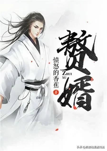 动画赘婿剧情介绍大结局,赘婿动画第2季开播了吗