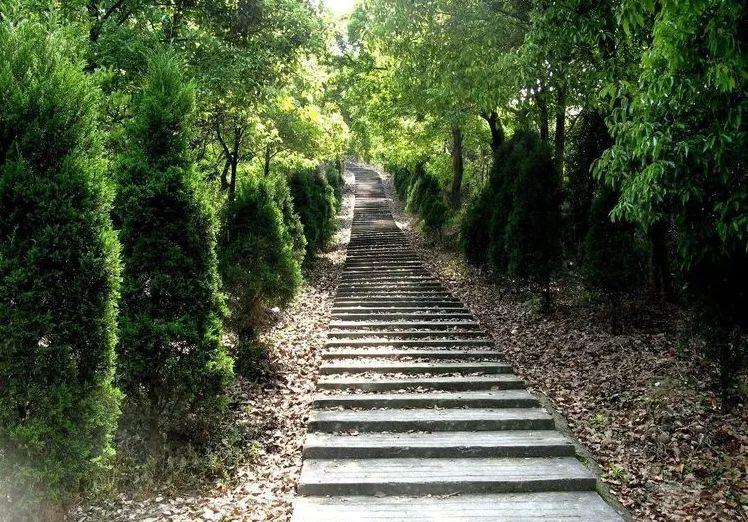 在温过大年！这几条“百县千碗”美食体验线路真的好吃又好玩