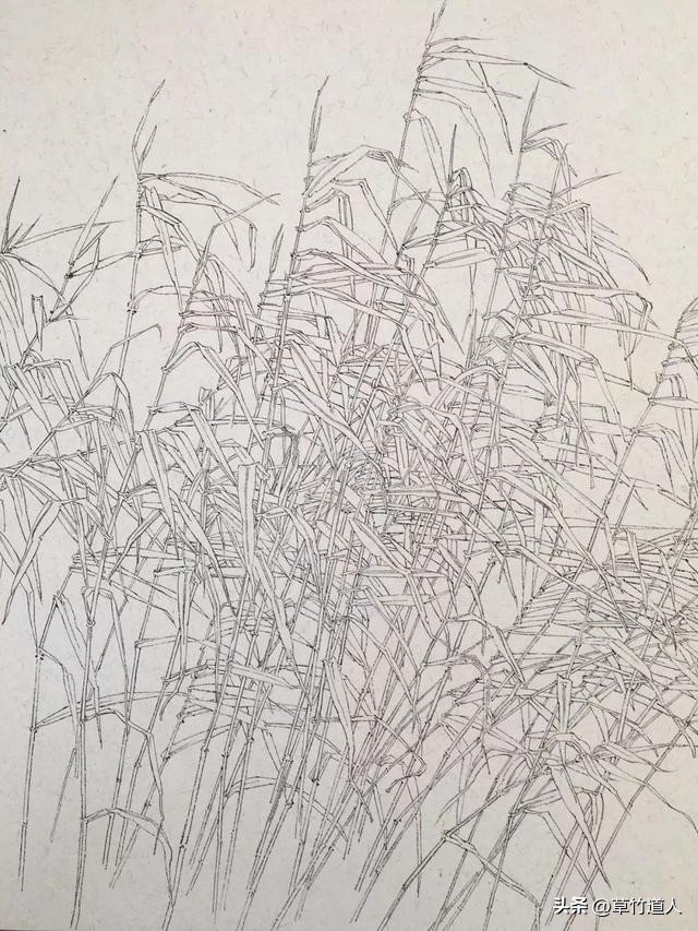 绘画艺术形象及其审美意义,中国绘画的审美特点4字