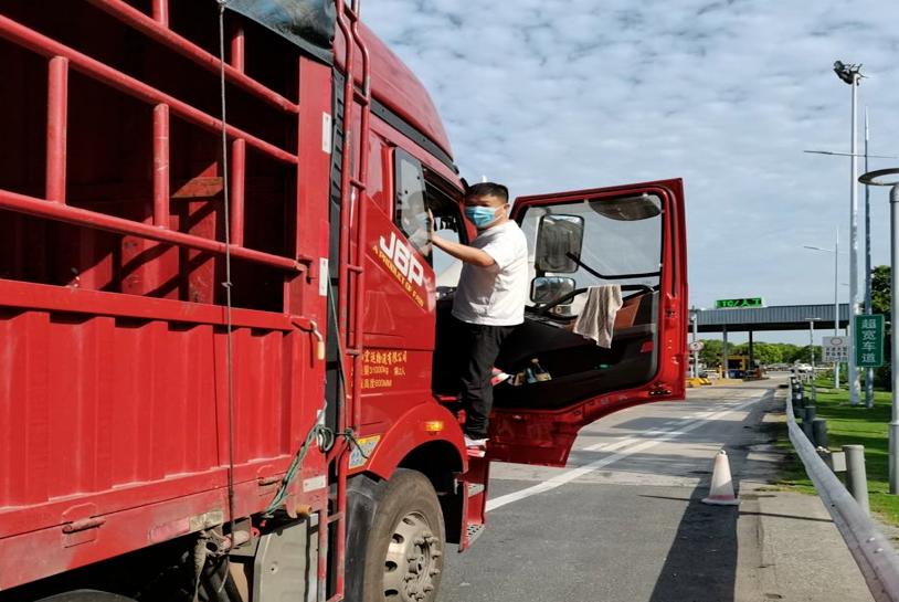 司机拉绿通过收费站后续,货车拉西瓜过绿通