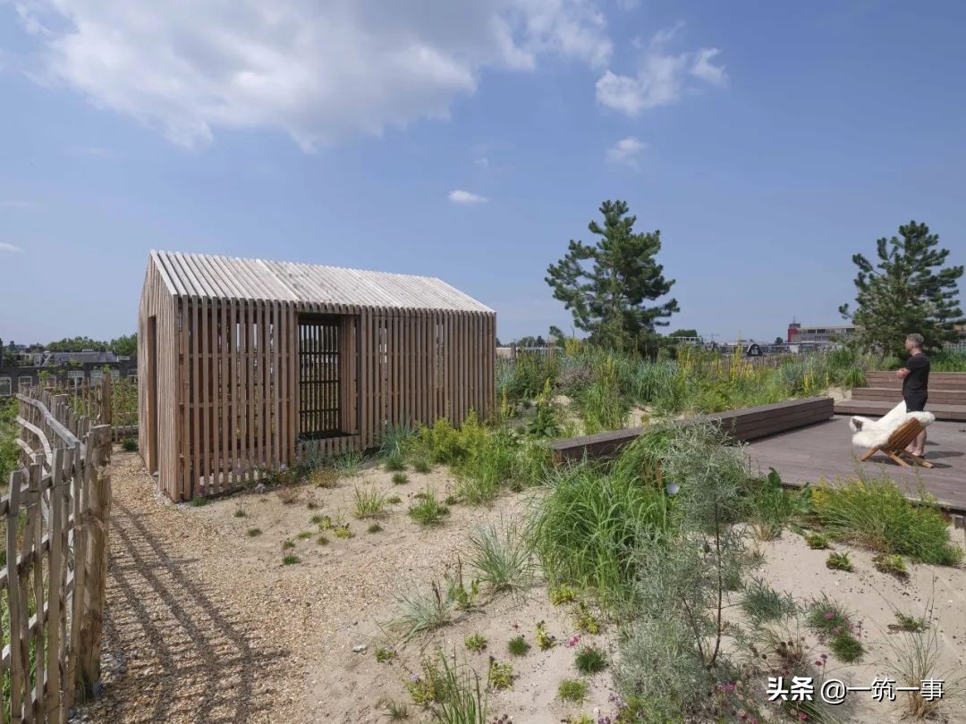 带你看六款奇葩的房屋建筑,法式建筑房顶设计效果图大全