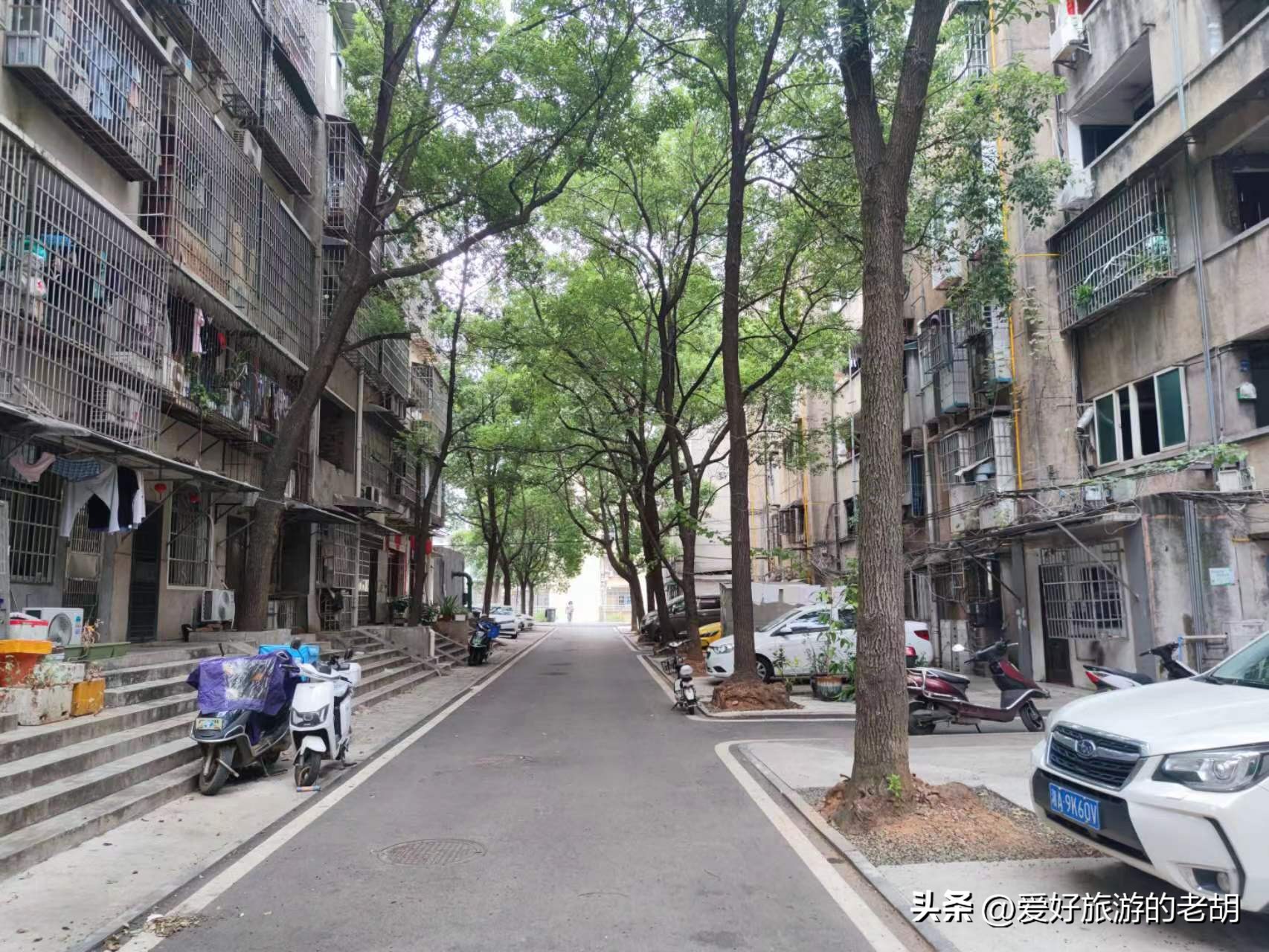 迁到长沙的国企,搬到长沙的企业