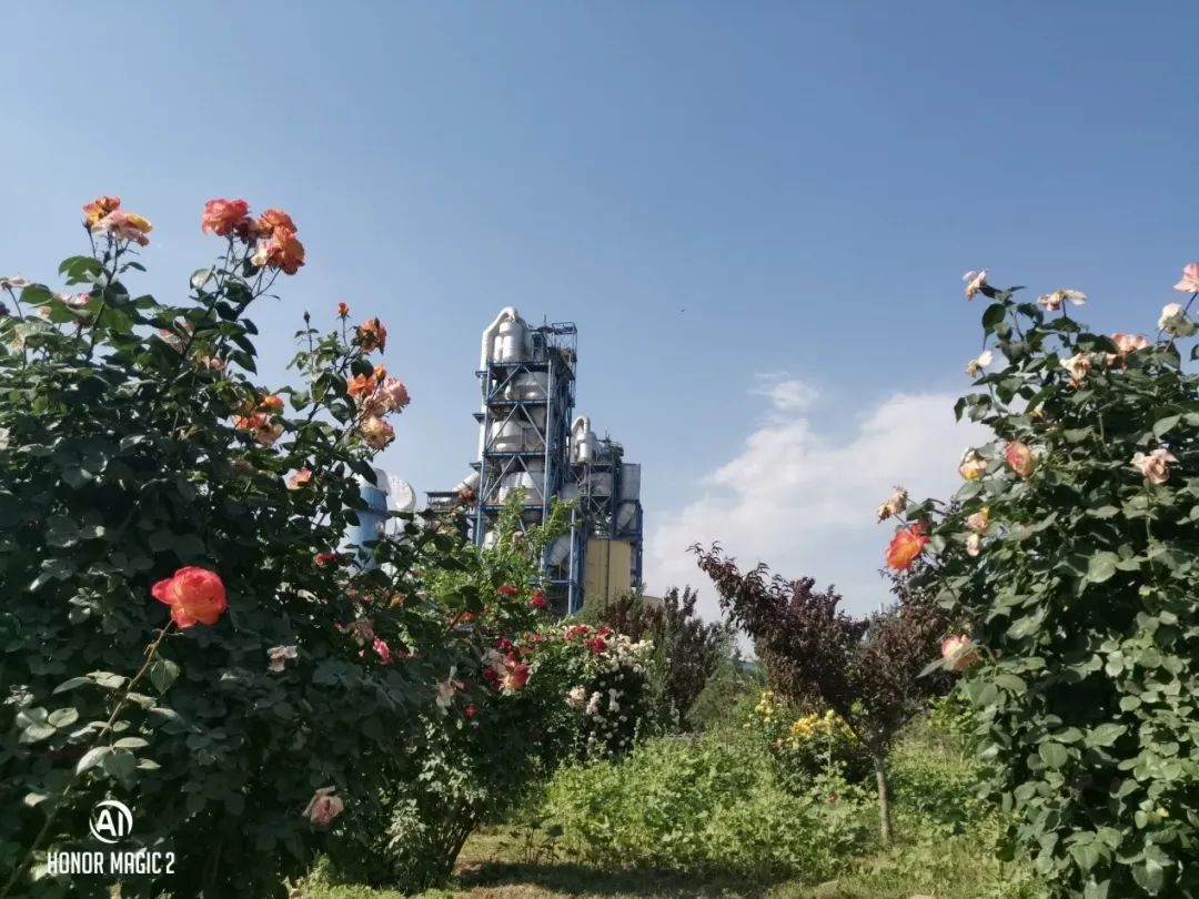 卫辉天瑞水泥质量怎么样,卫辉市天瑞水泥郑州办事处