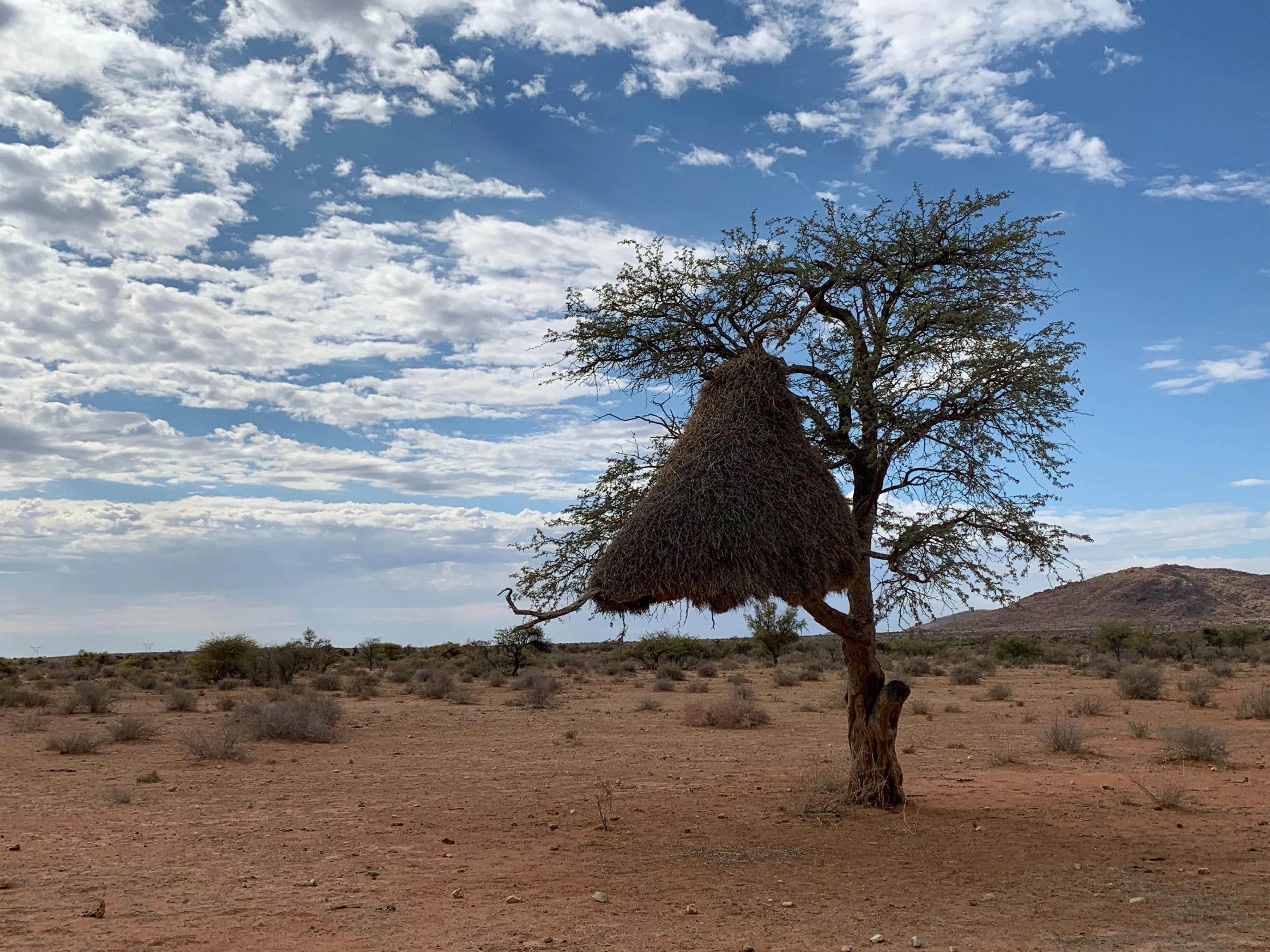 绾崇背姣斾簹绾㈣壊娌欐紶,绾崇背姣斾簹娌欐紶涔嬫梾