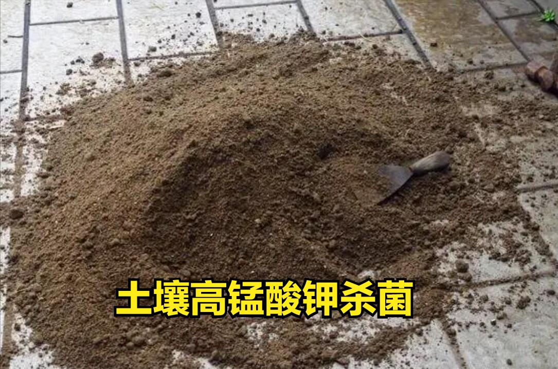高锰酸钾对细菌病害有用吗,3%高锰酸钾