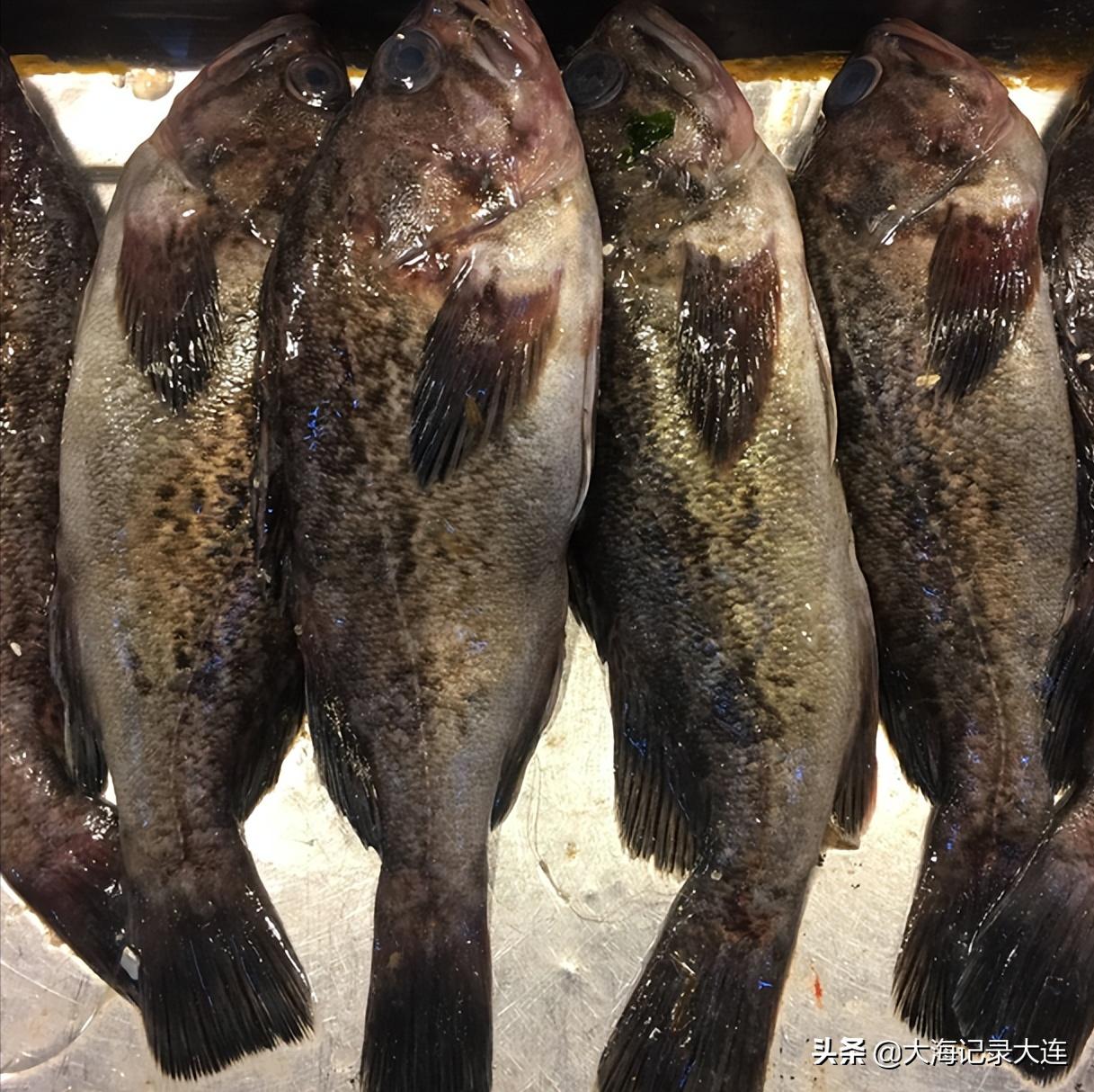 旅顺景点温泉,大连老铁山温泉攻略