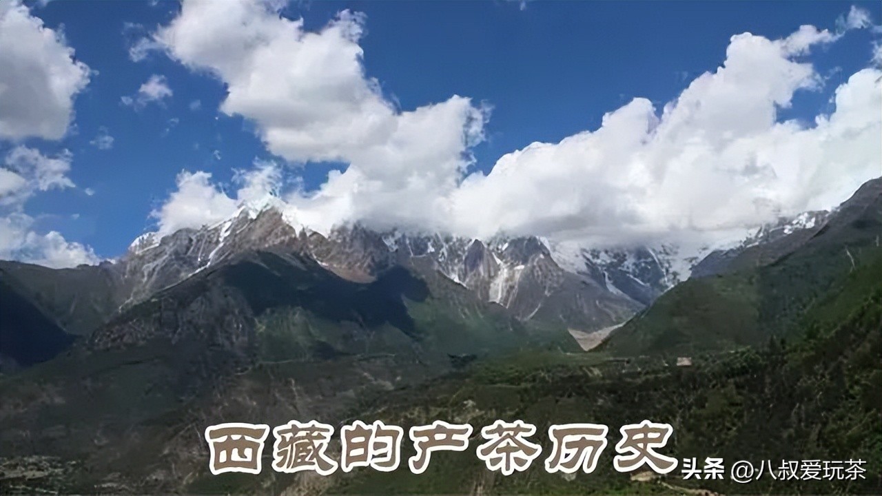 欣赏全国各地的名茶,西北茶区代表名茶有哪些