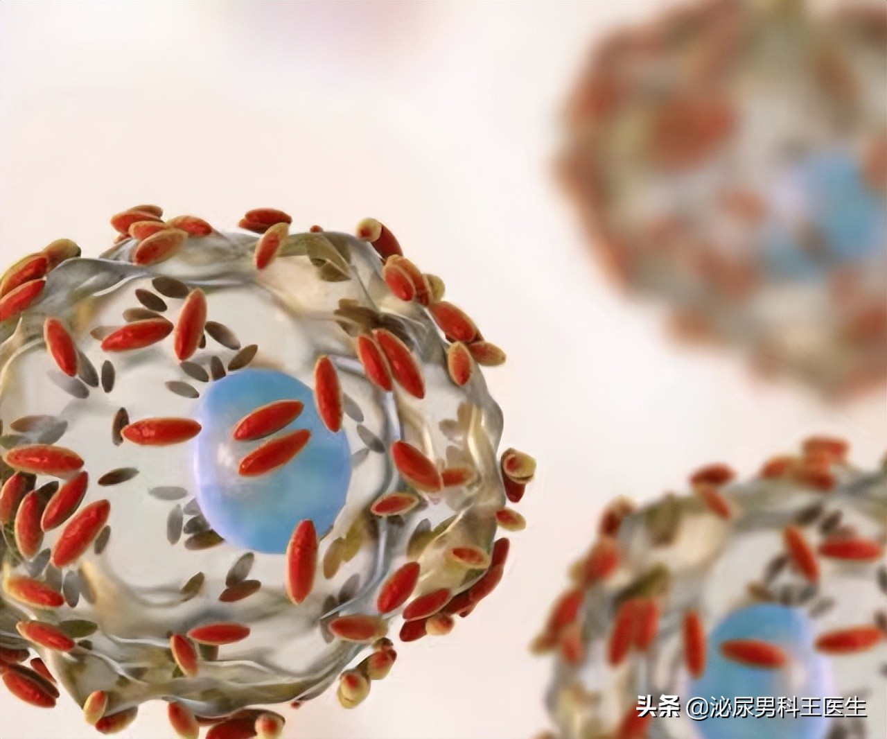 前列腺癌发现就是晚期？叶定伟教授：50岁以上最好每年检查一次