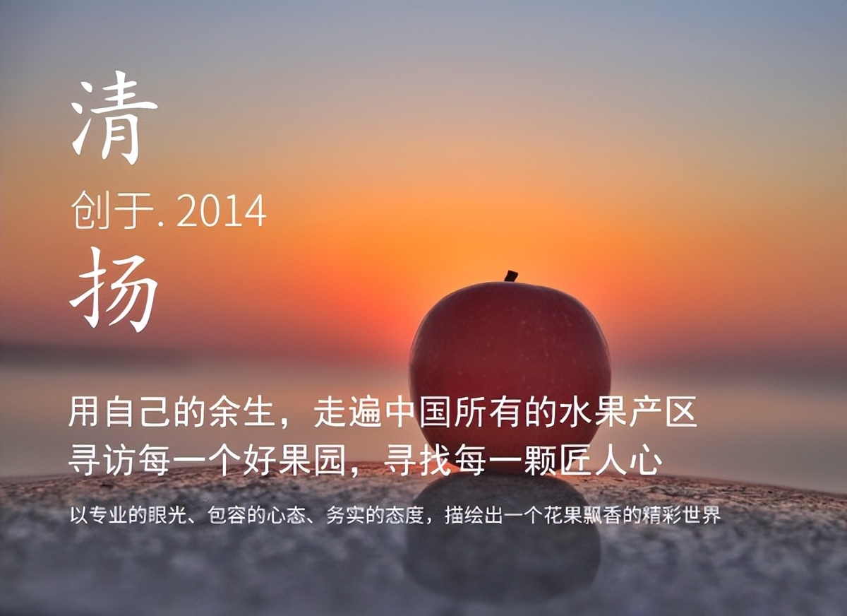 西梅常识,西梅的前期怎么管理