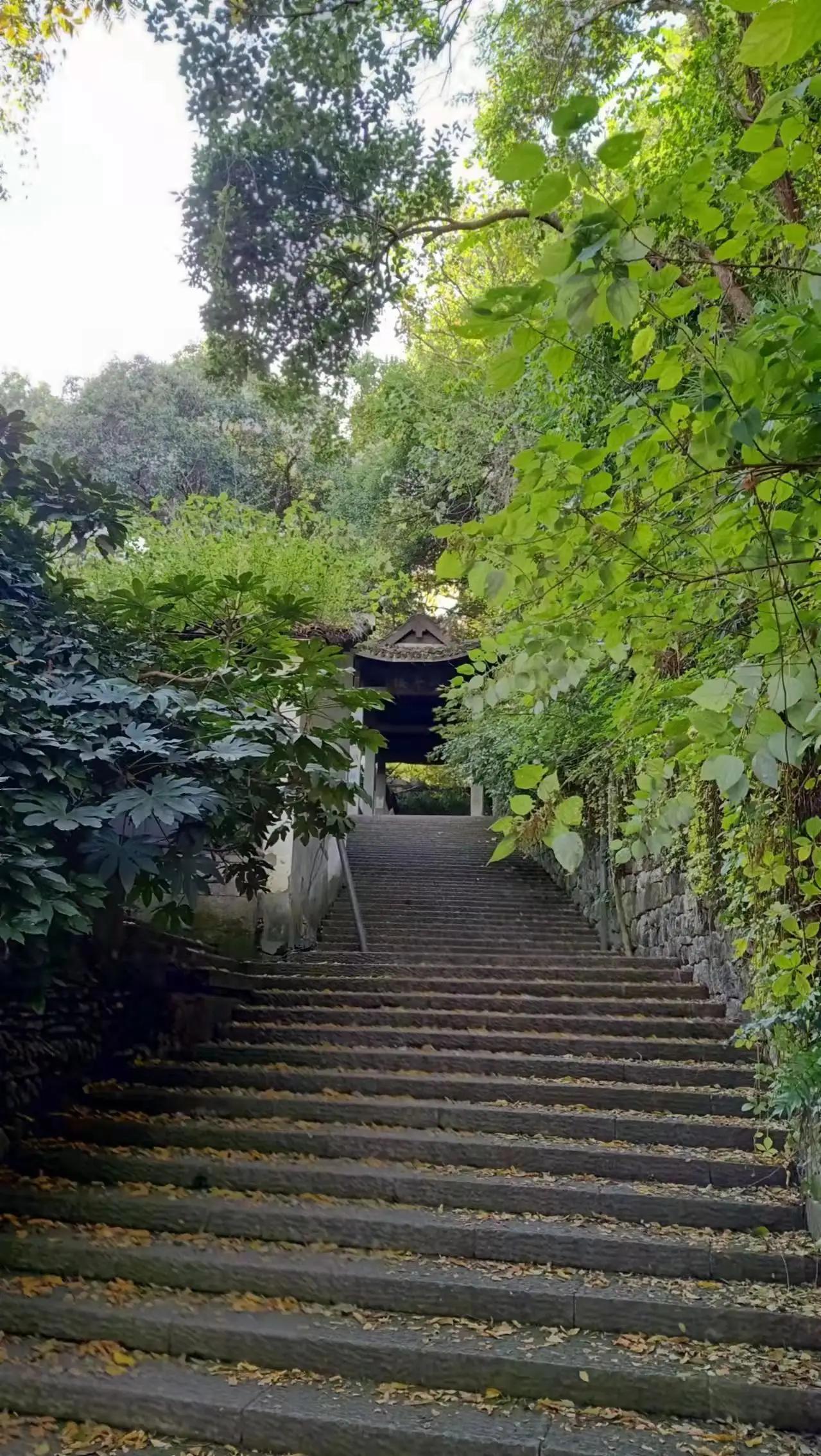 环翠楼钱塘第一井