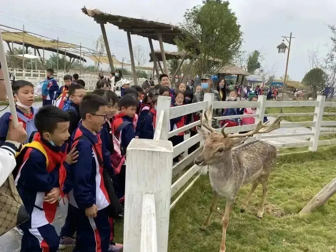 种子乐园游玩攻略,种子乐园2-6岁儿童科普