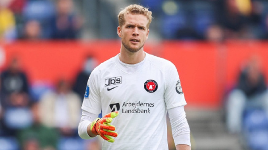 洋洋聊足球比赛,洋洋聊世界杯