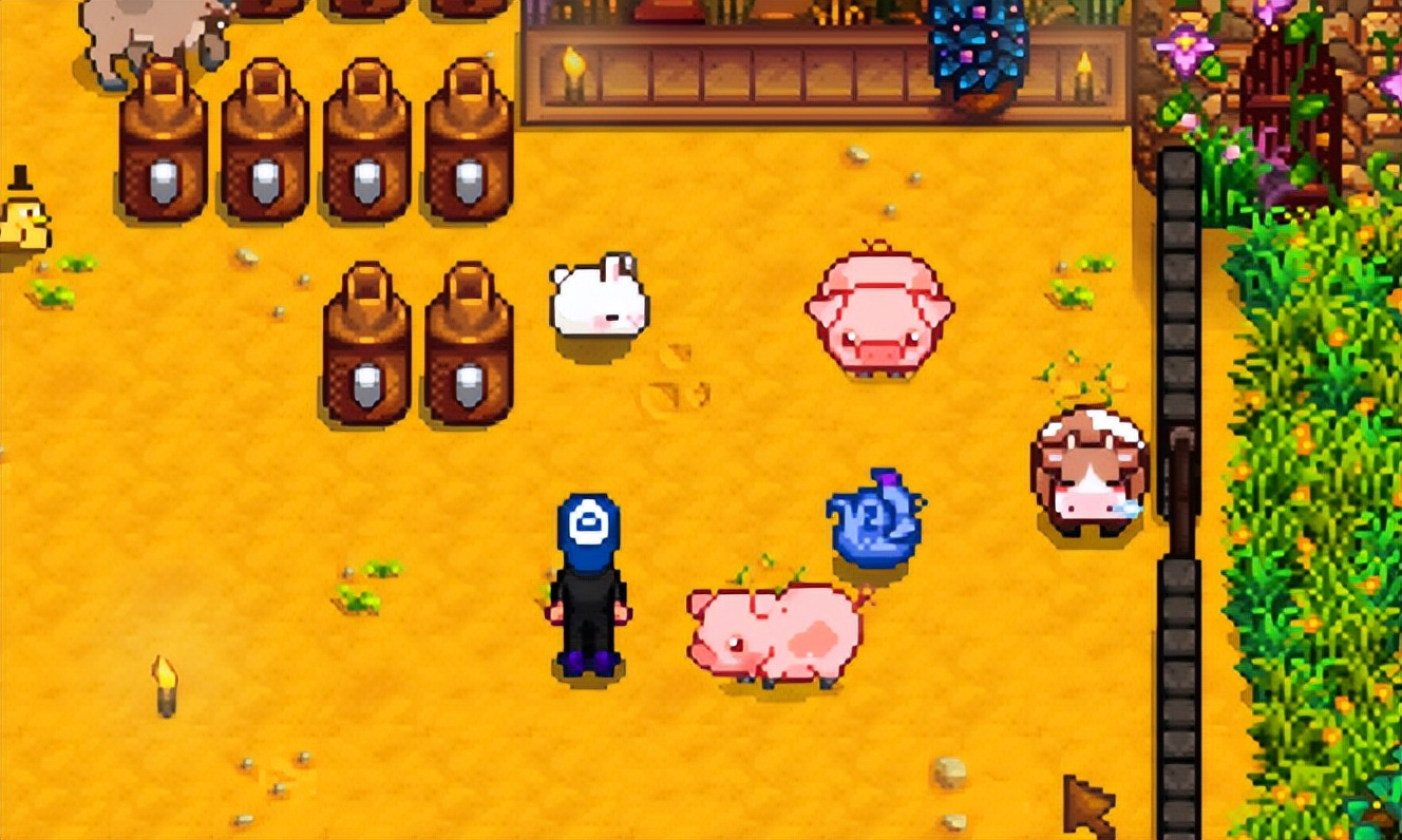 星露谷物语哪种动物收益最高,星露谷物语都能买哪些动物