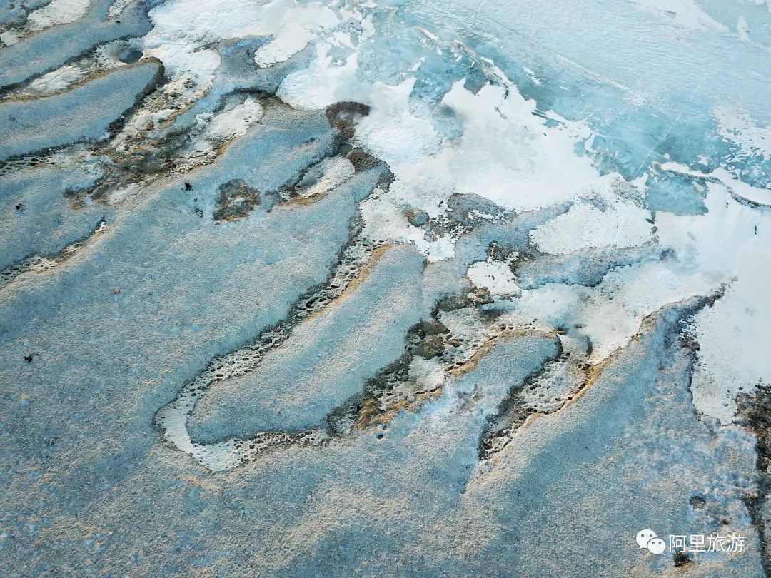 西藏最近很火的大地之树,网红大地之树