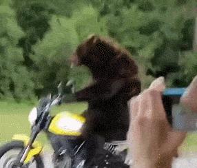 每日一笑逗乐妹子,每日一逗完整版