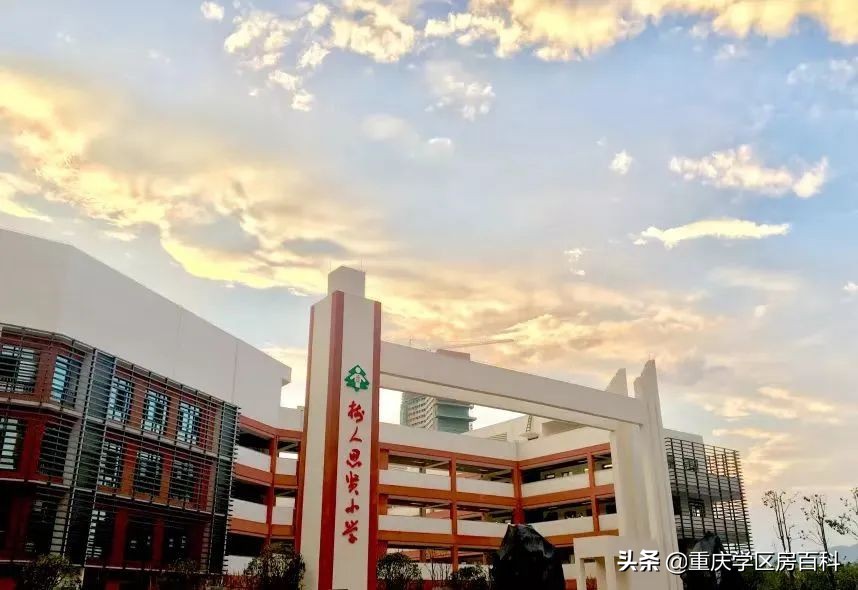 大学城这边哪个小学好点,大学城的小学怎么样