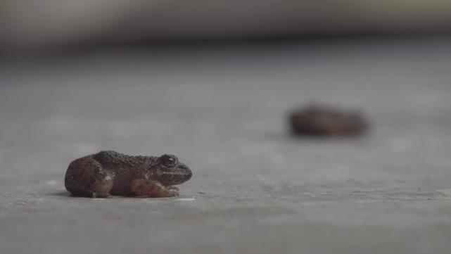 榫欐硥鐭宠洐鍏绘畺鍩哄湴,榫欐硥鐭宠洐