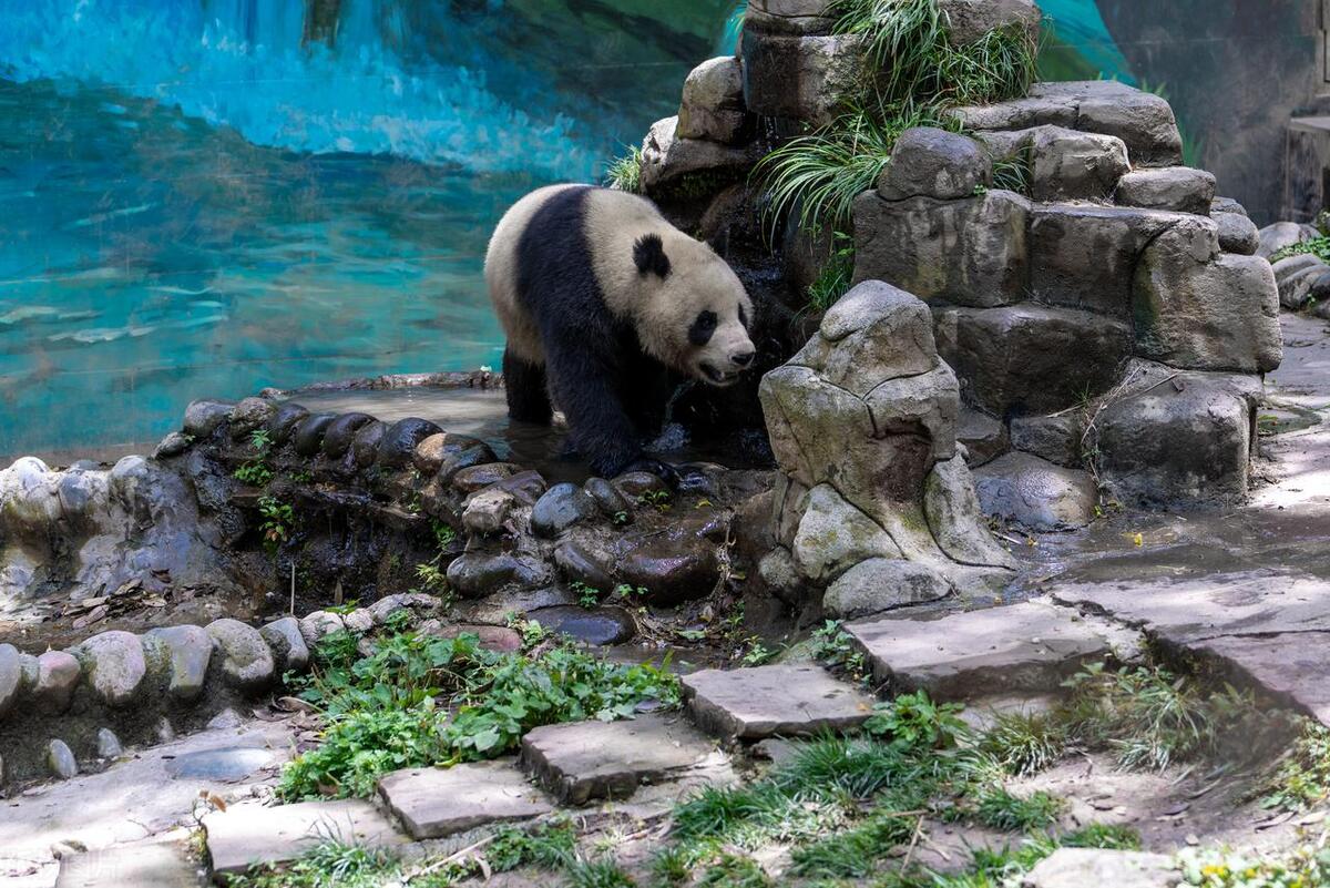 四川甘孜旅游十大必去景点,四川春节旅游十大必去景点