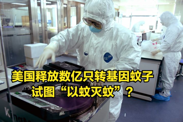 消灭蚊子有什么新方法,有什么方法可以彻底消灭蚊子