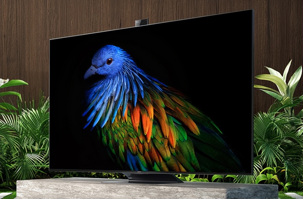 小米电视l65m7-z2尺寸,小米电视ea552022款尺寸