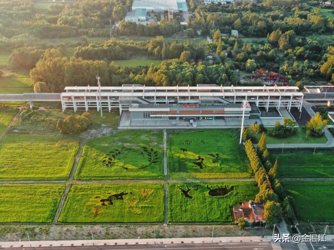 担当作为好书记视频,担当作为村支部书记