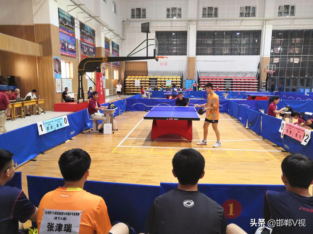 乒乓球全国锦标赛2022半决赛河北,河北省第十六届运动会