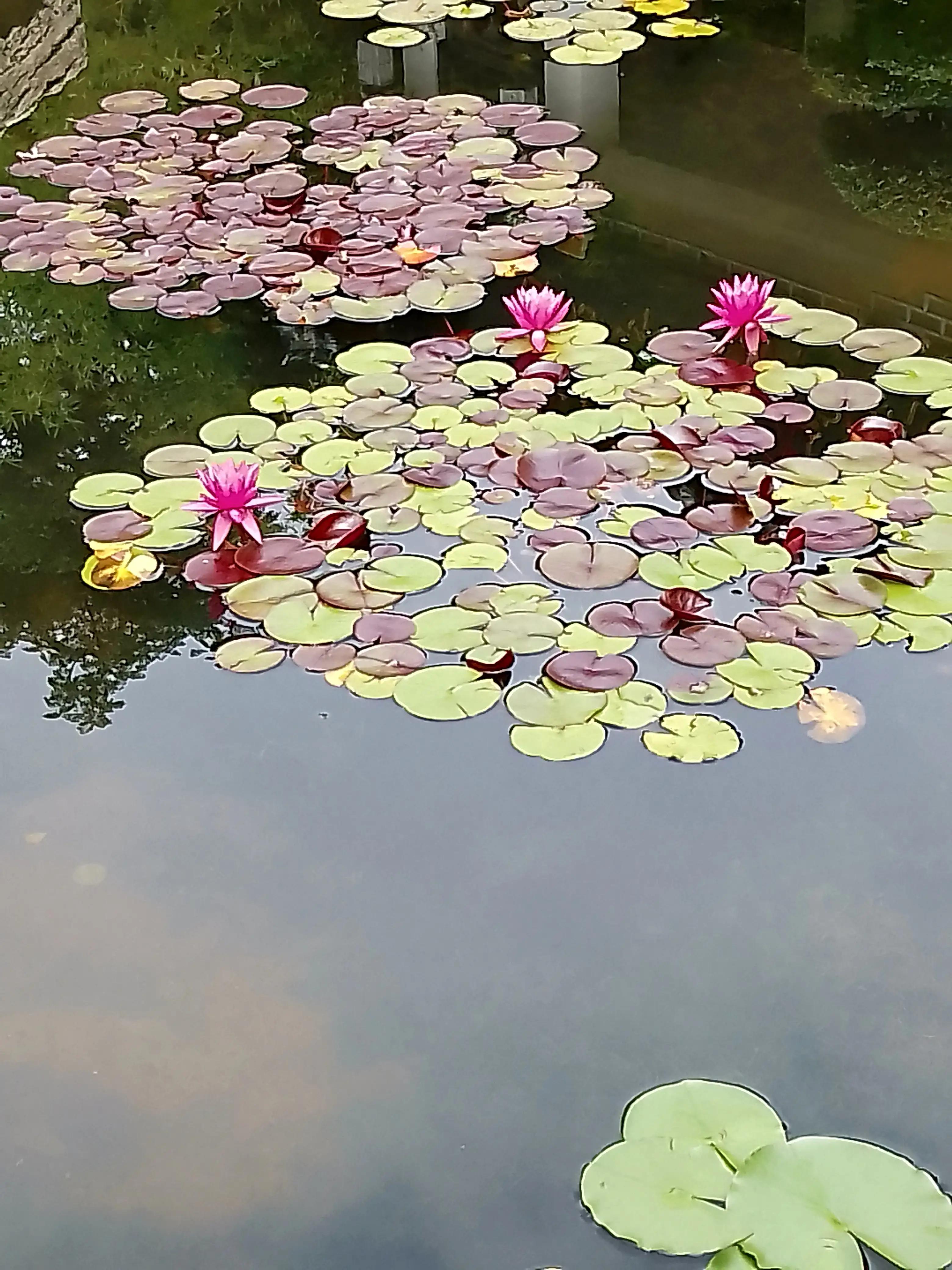 孤独寂寞随笔100字,一个人很寂寞随笔