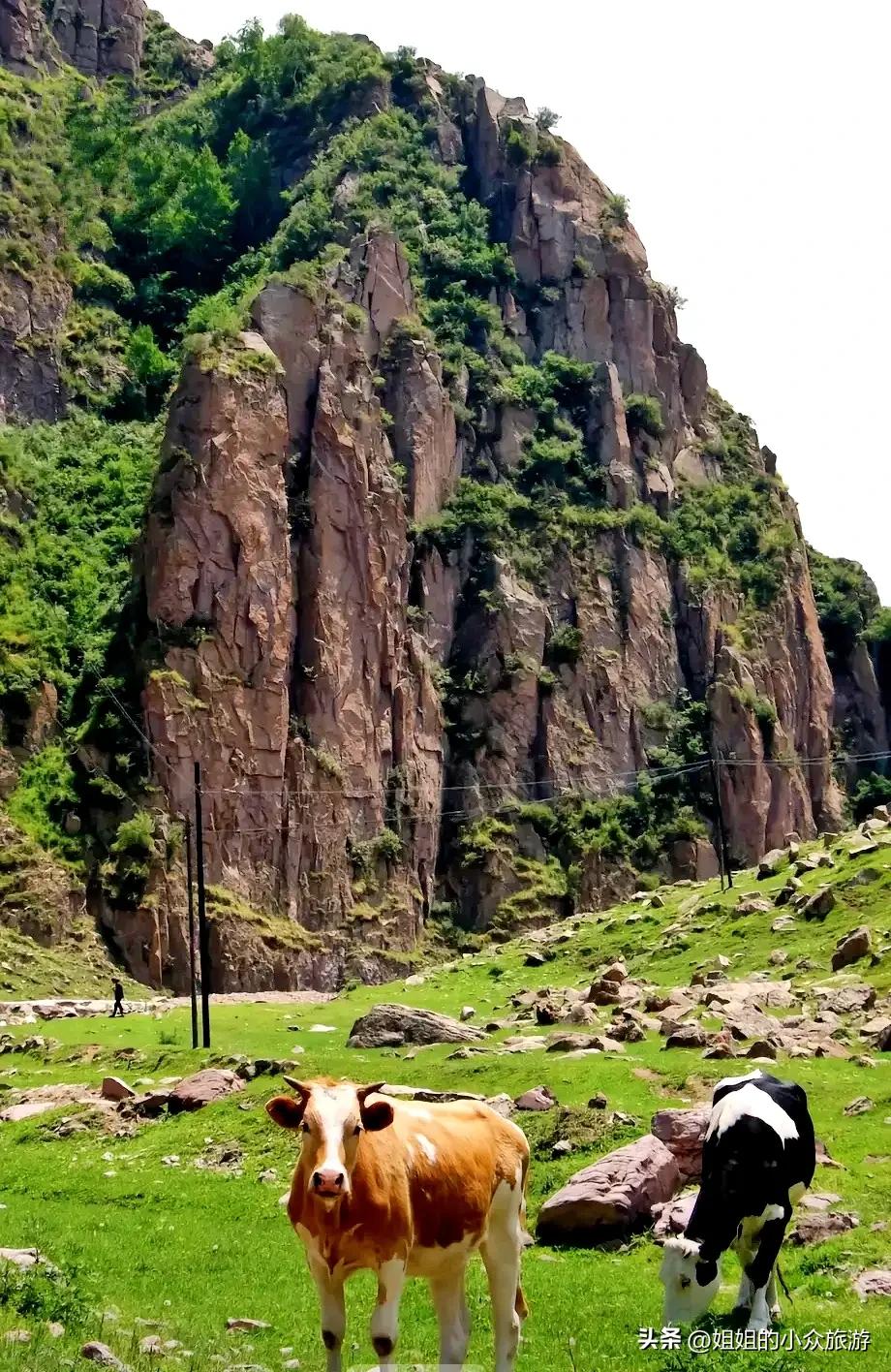 藏在深山无人知的图片,藏在深山无人知视频