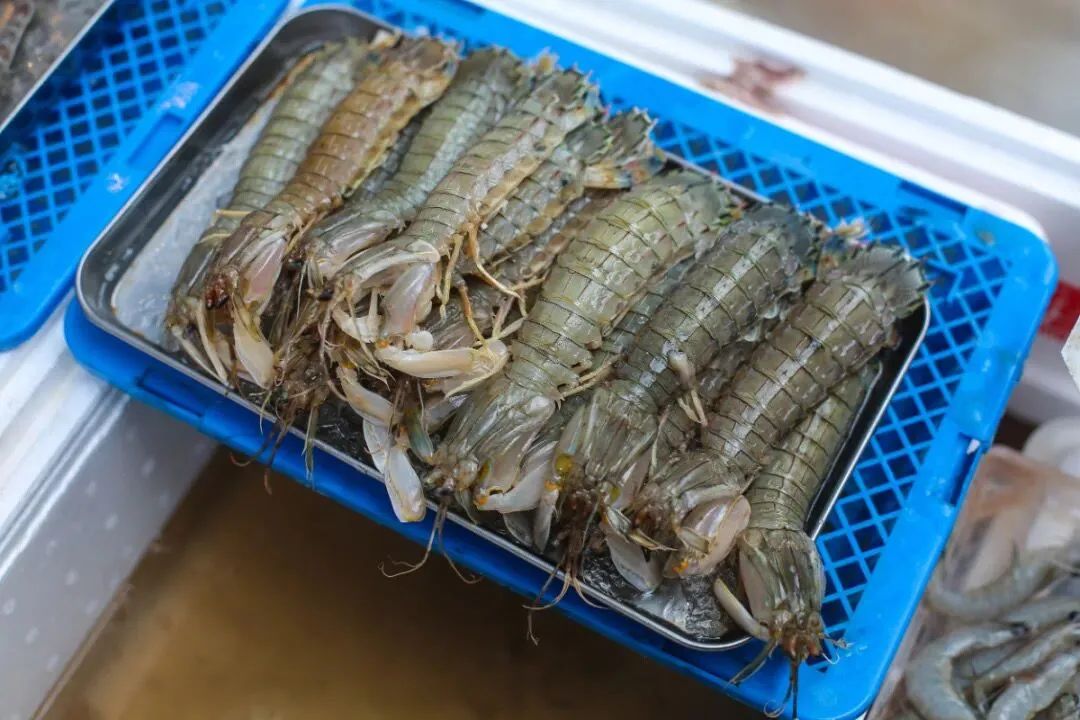 阳+34例！重磅好消息：开海，大波生猛海鲜来袭！天津人有多会吃