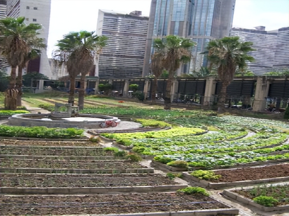 波兰农业现状,波兰产业结构最新