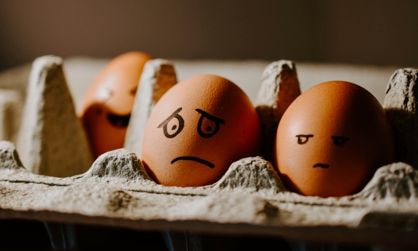 台当局给母鸡发红包刺激生蛋，母鸡认识新台币吗？