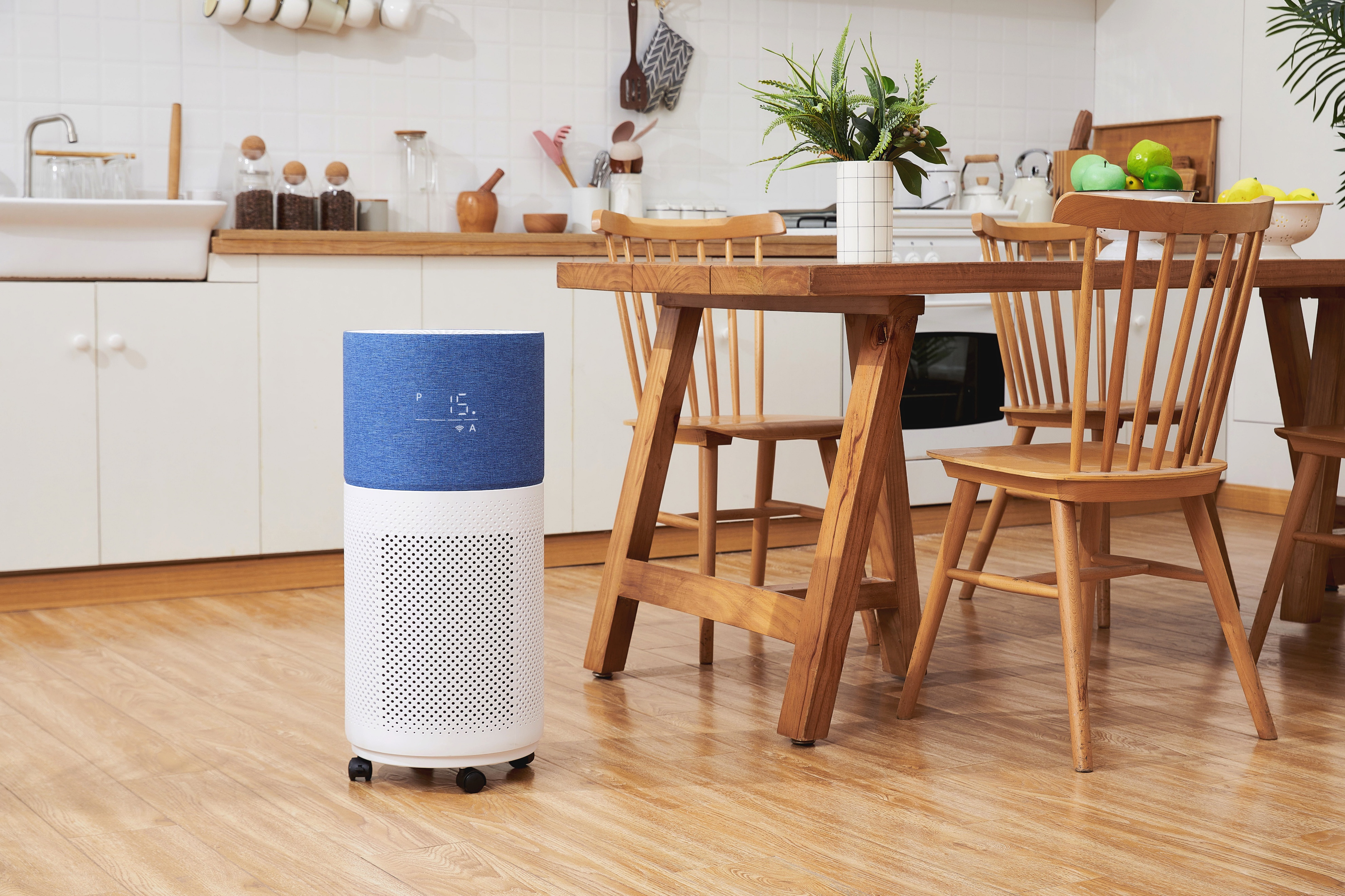 通风不畅异味重?科林弗斯彩虹新品除味除灰