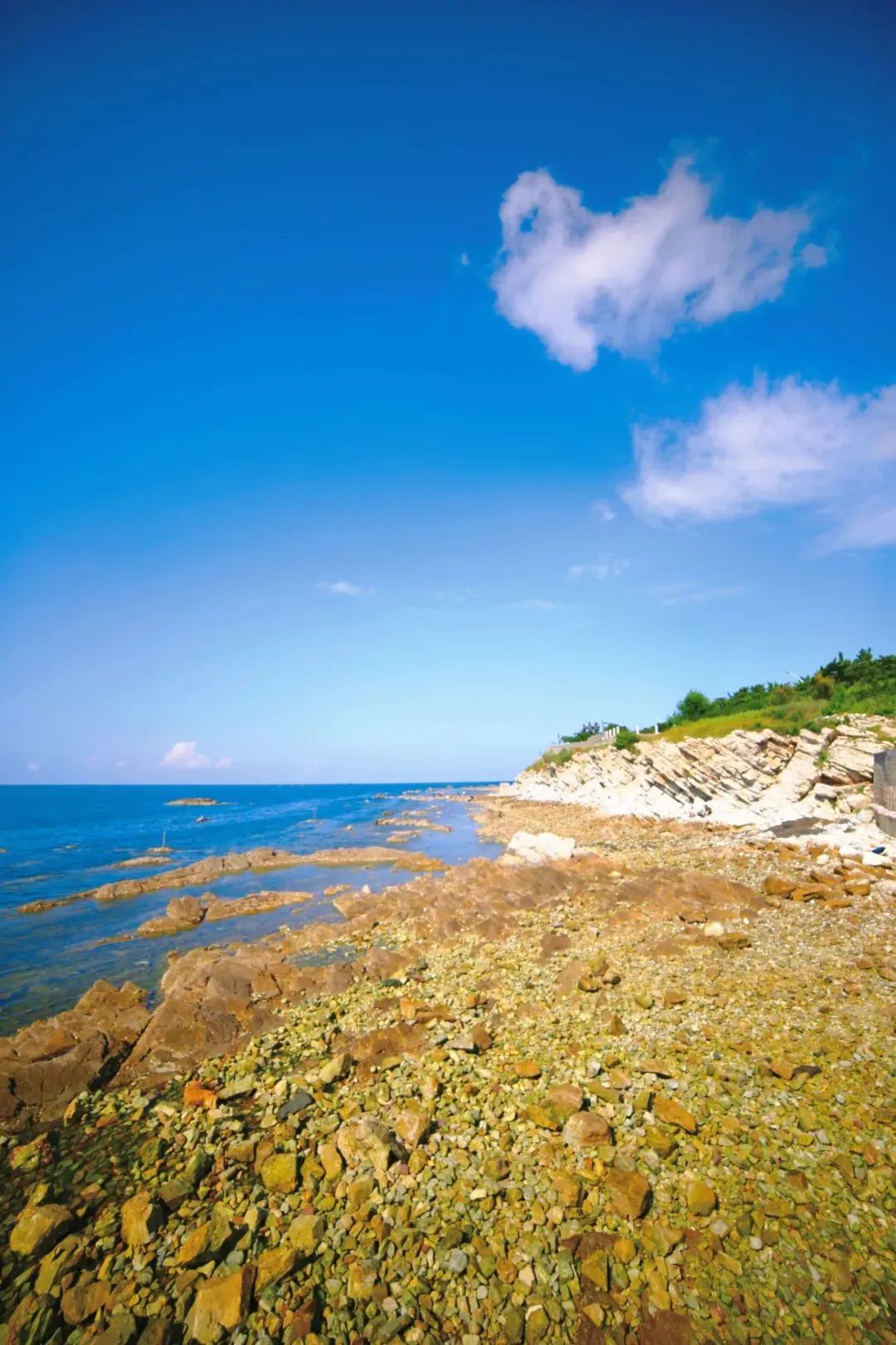 跟团去山东旅游,跟团去欧洲旅游游记