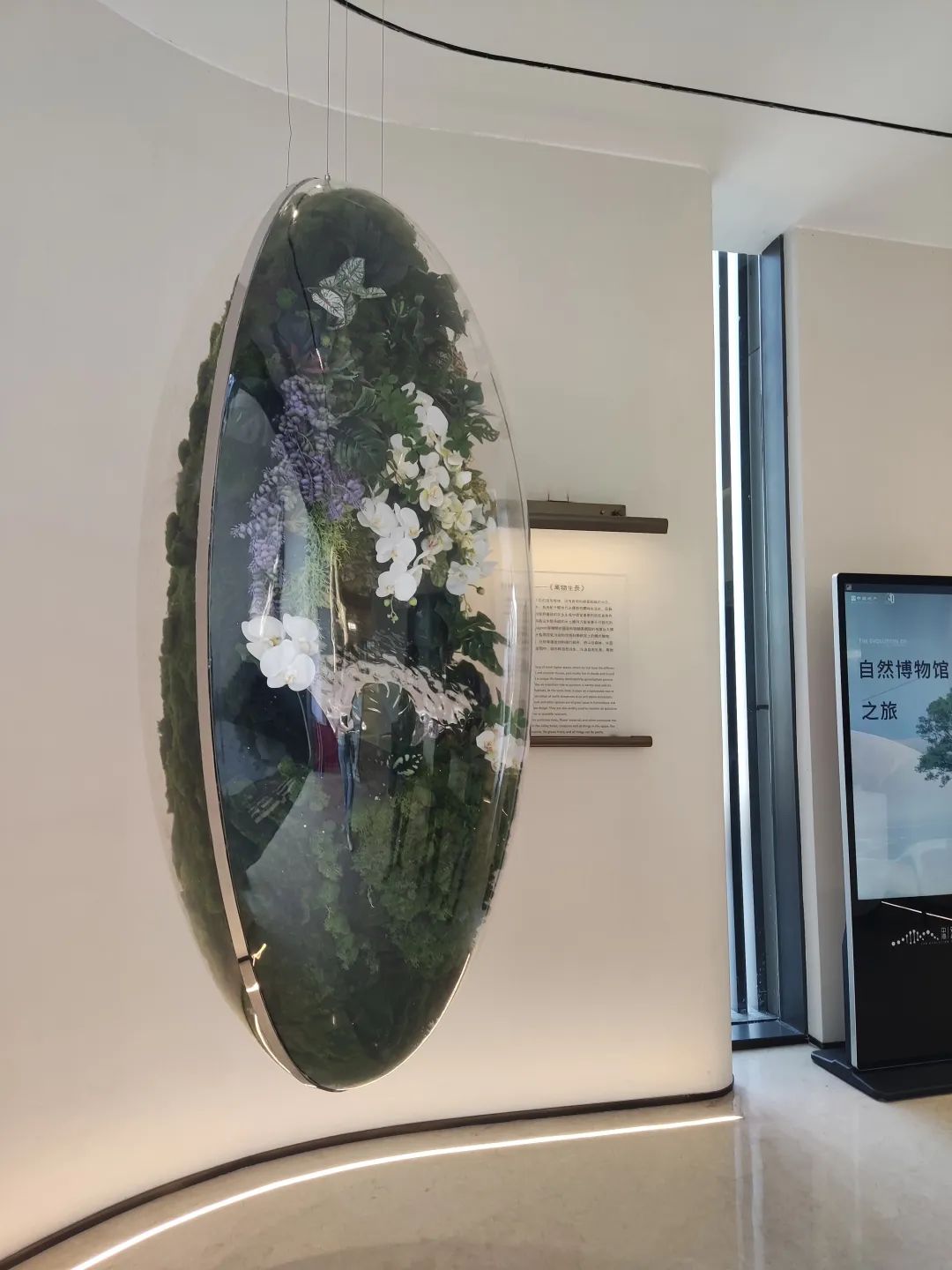 龙湖116洋房四叶草户型,南京龙湖四叶草户型