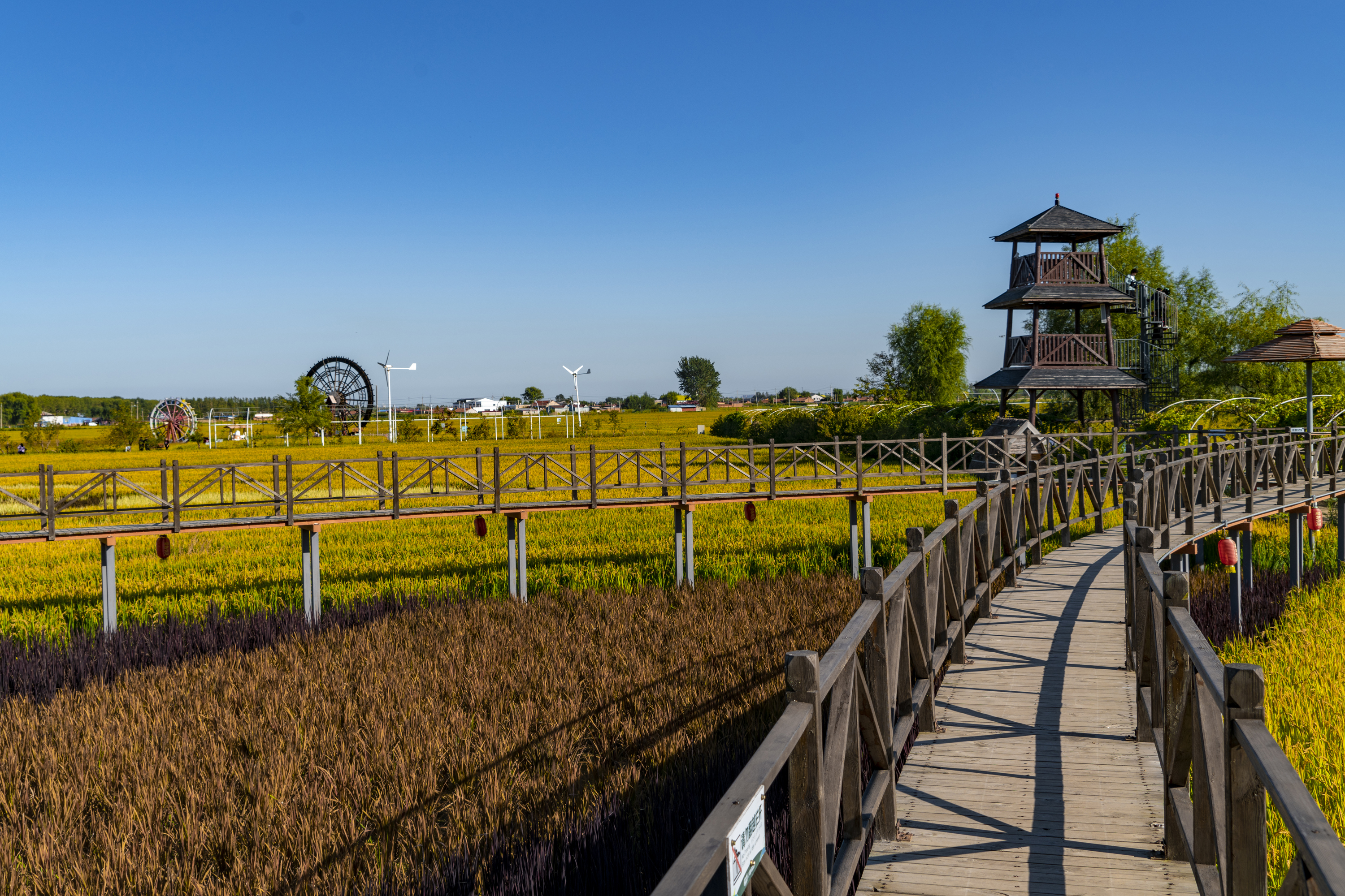 沈阳市稻梦空间,沈阳稻梦空间附近农家院