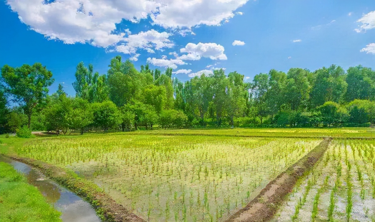 十大田园诗词排行榜,孟浩然过故人庄全诗欣赏
