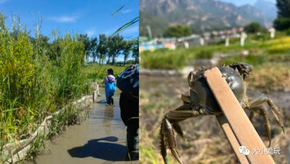最适合骑行的公园,适合骑行的旅游地点推荐