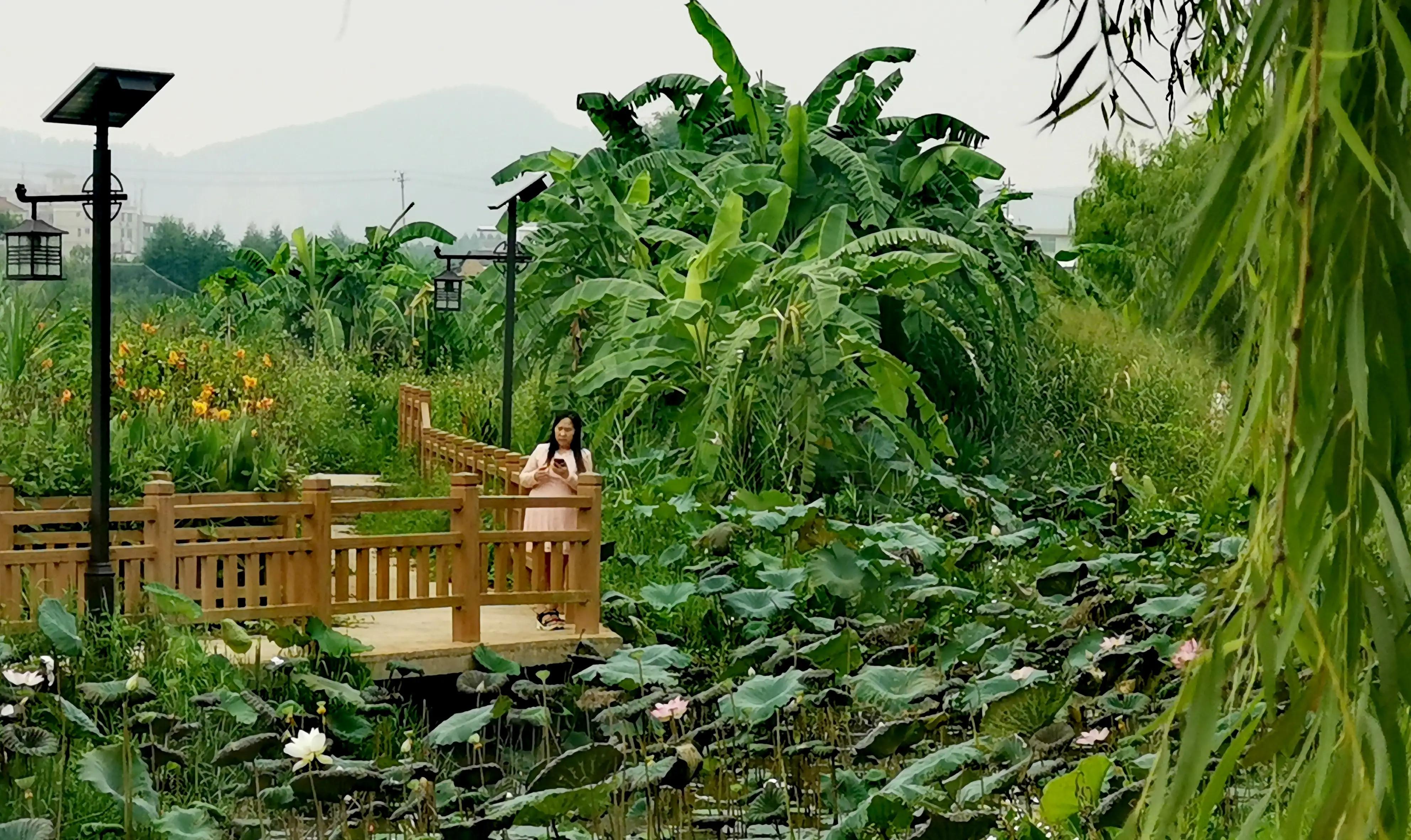 漳州市美丽的小镇,漳州长泰区旅游